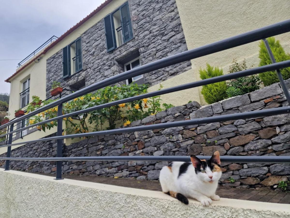 Green Valley House Madeira Ribeira Brava Dış mekan fotoğraf